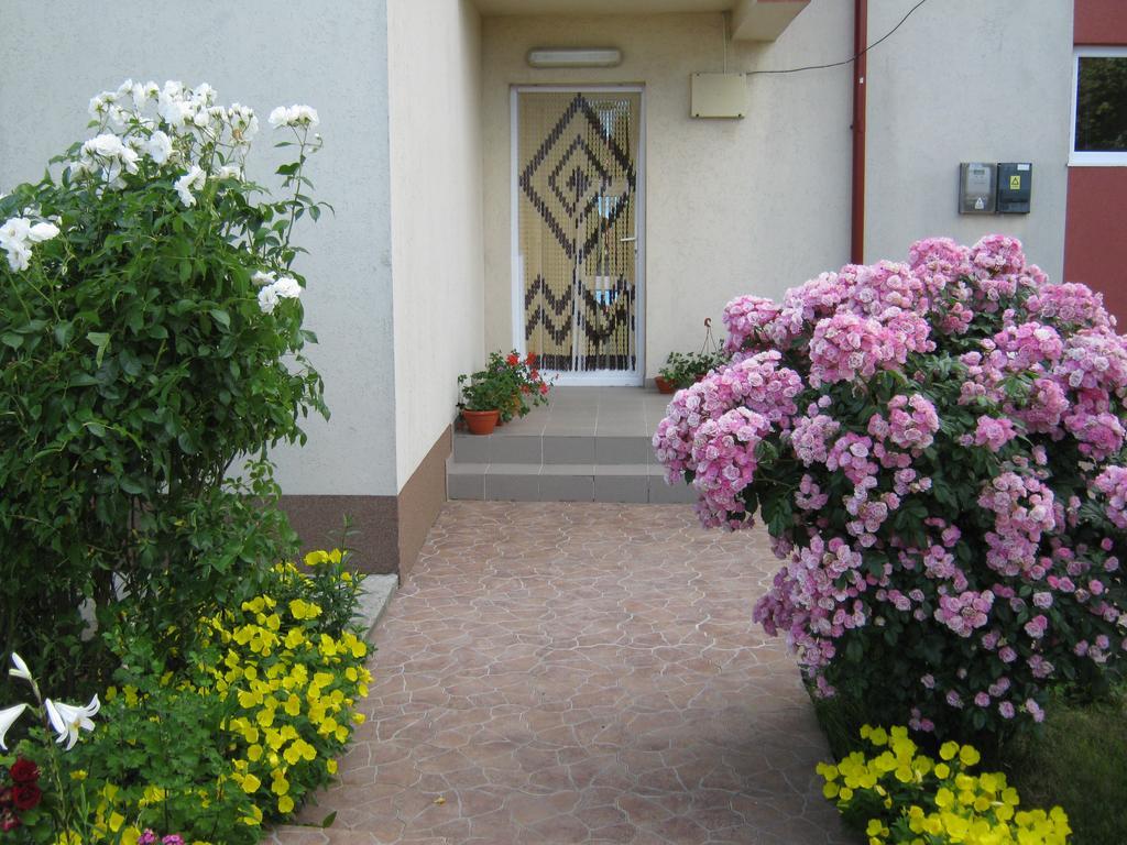 Vila Alexa Costinesti Exterior foto